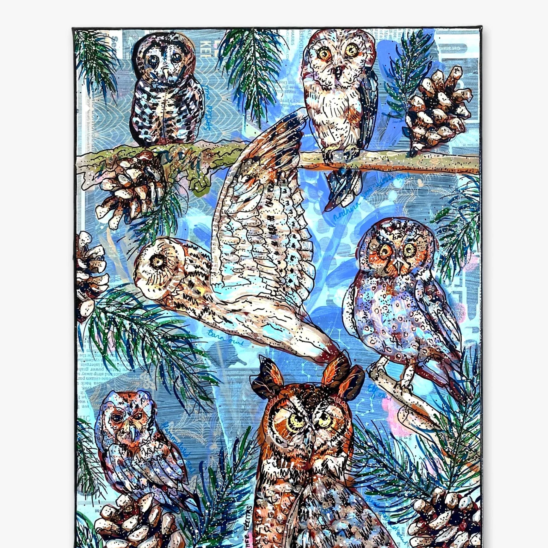 Owl Specimens & Pretty Pines - Heather Freitas 