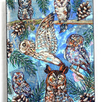 Owl Specimens & Pretty Pines - Heather Freitas 