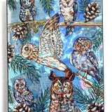 Owl Specimens & Pretty Pines - Heather Freitas 