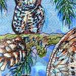 Owl Specimens & Pretty Pines - Heather Freitas 