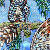 Owl Specimens & Pretty Pines - Heather Freitas 