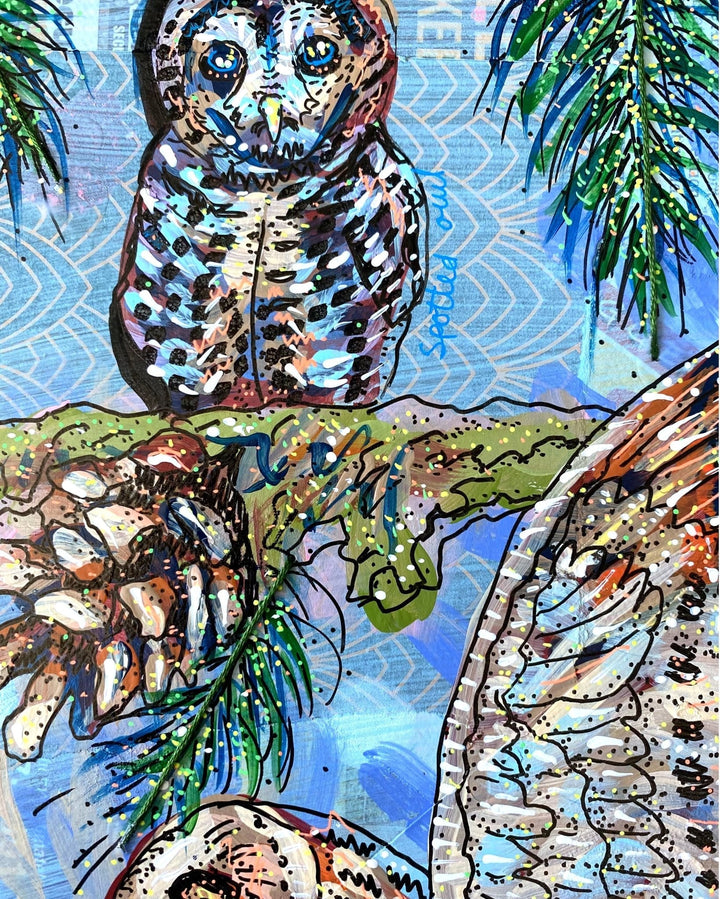 Owl Specimens & Pretty Pines - Heather Freitas 