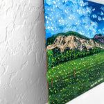 Pagosa Or Boiling Water - @tvision2439 - Heather Freitas 