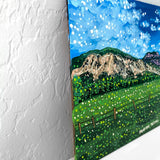 Pagosa Or Boiling Water - @tvision2439 - Heather Freitas 