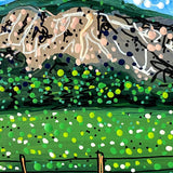 Pagosa Or Boiling Water - @tvision2439 - Heather Freitas 