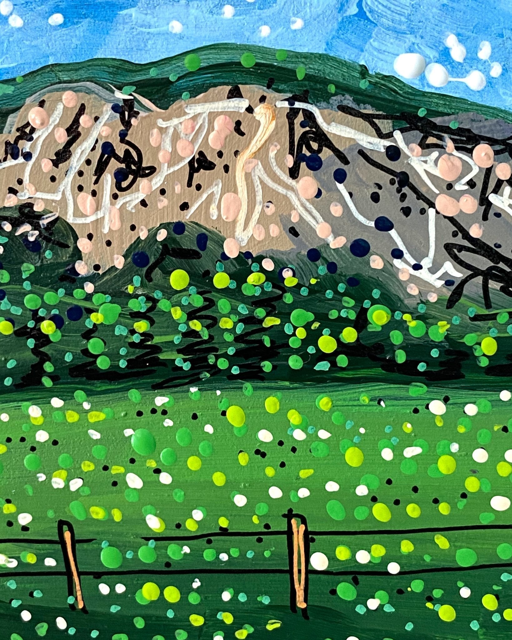 Pagosa Or Boiling Water - @tvision2439 - Heather Freitas 