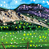 Pagosa Or Boiling Water - @tvision2439 - Heather Freitas 