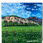 Pagosa Or Boiling Water - @tvision2439 - Heather Freitas 