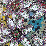 Passion Flower Heather Freitas 