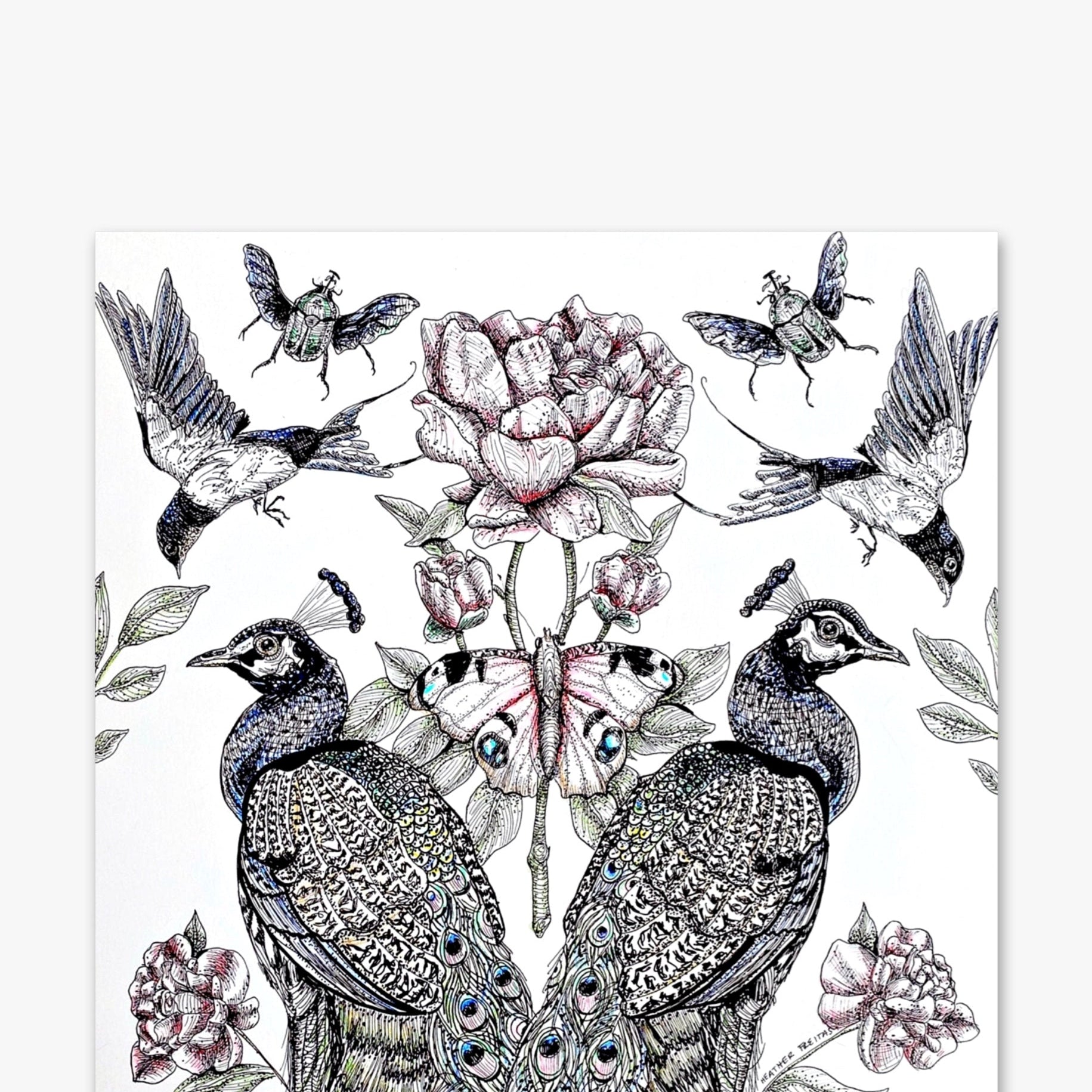 Peacock Paradise - Heather Freitas 