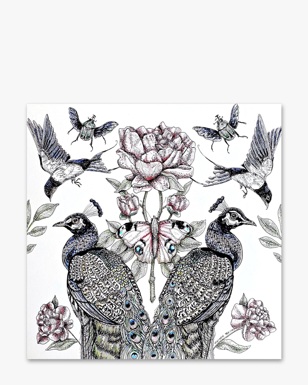 Peacock Paradise - Heather Freitas 