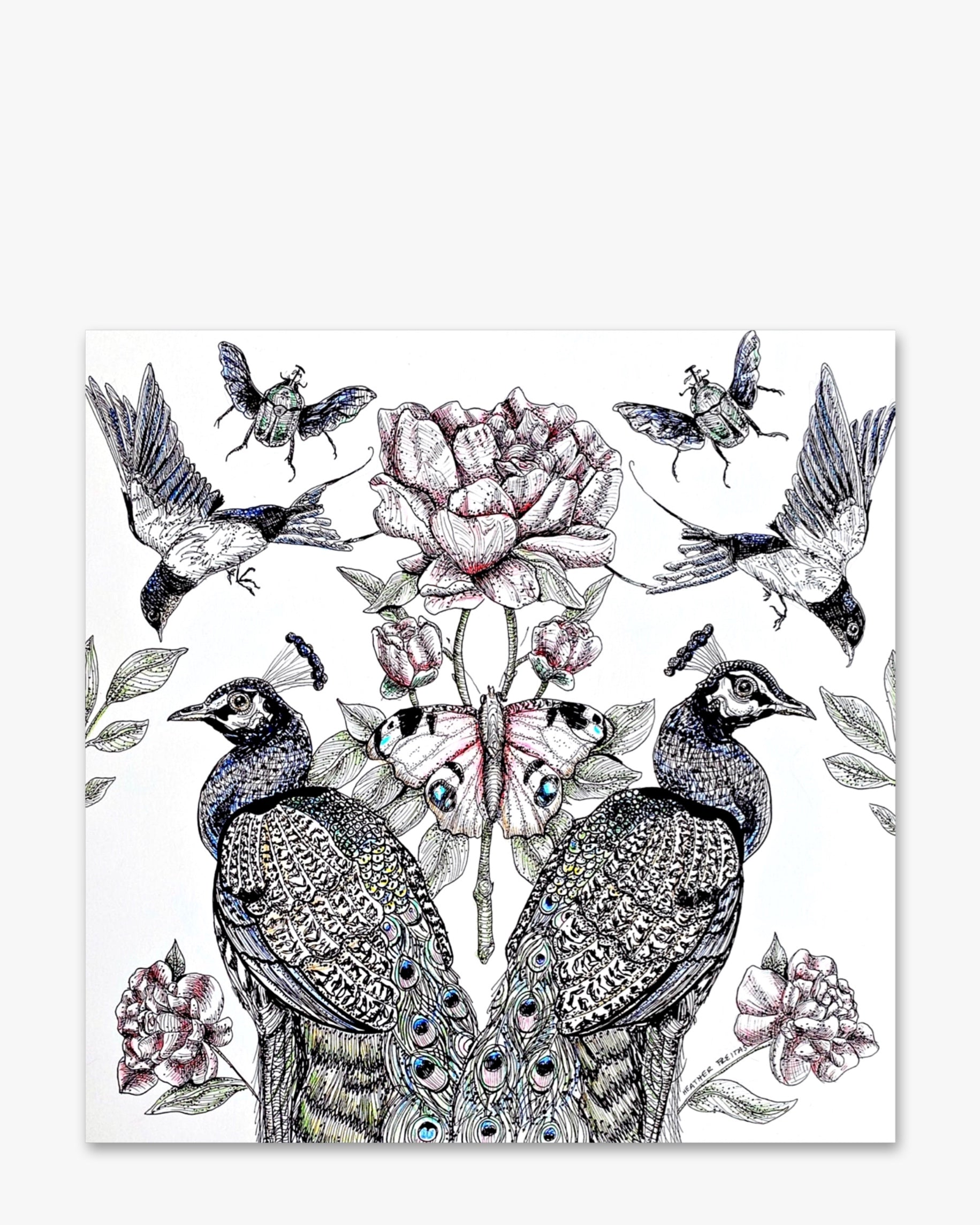Peacock Paradise - Heather Freitas 