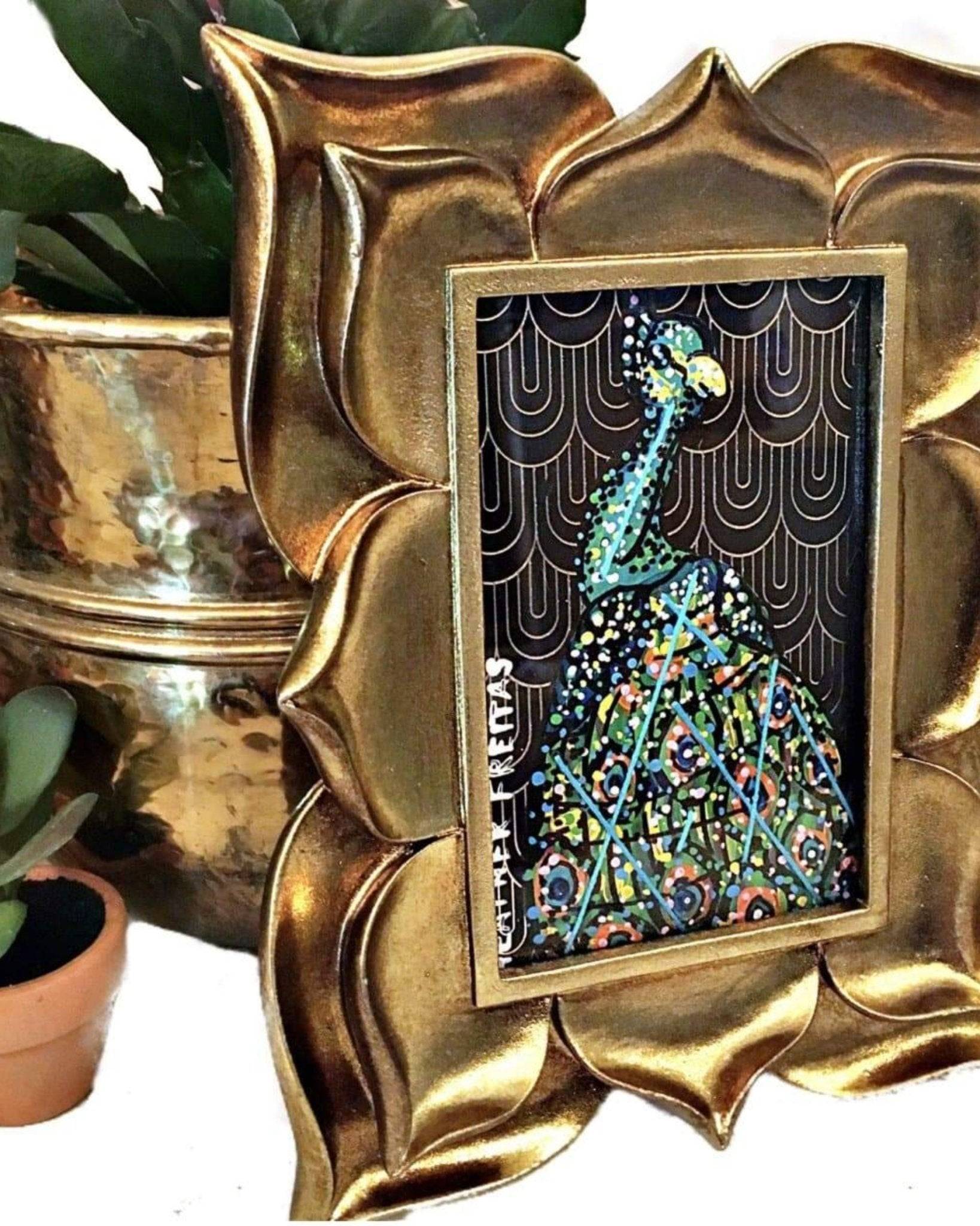 Peacock Study - Heather Freitas 