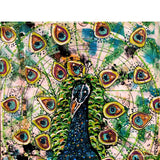 Peacock Study - Heather Freitas 