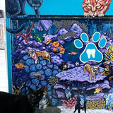 Pet Dental USA - Heather Freitas 