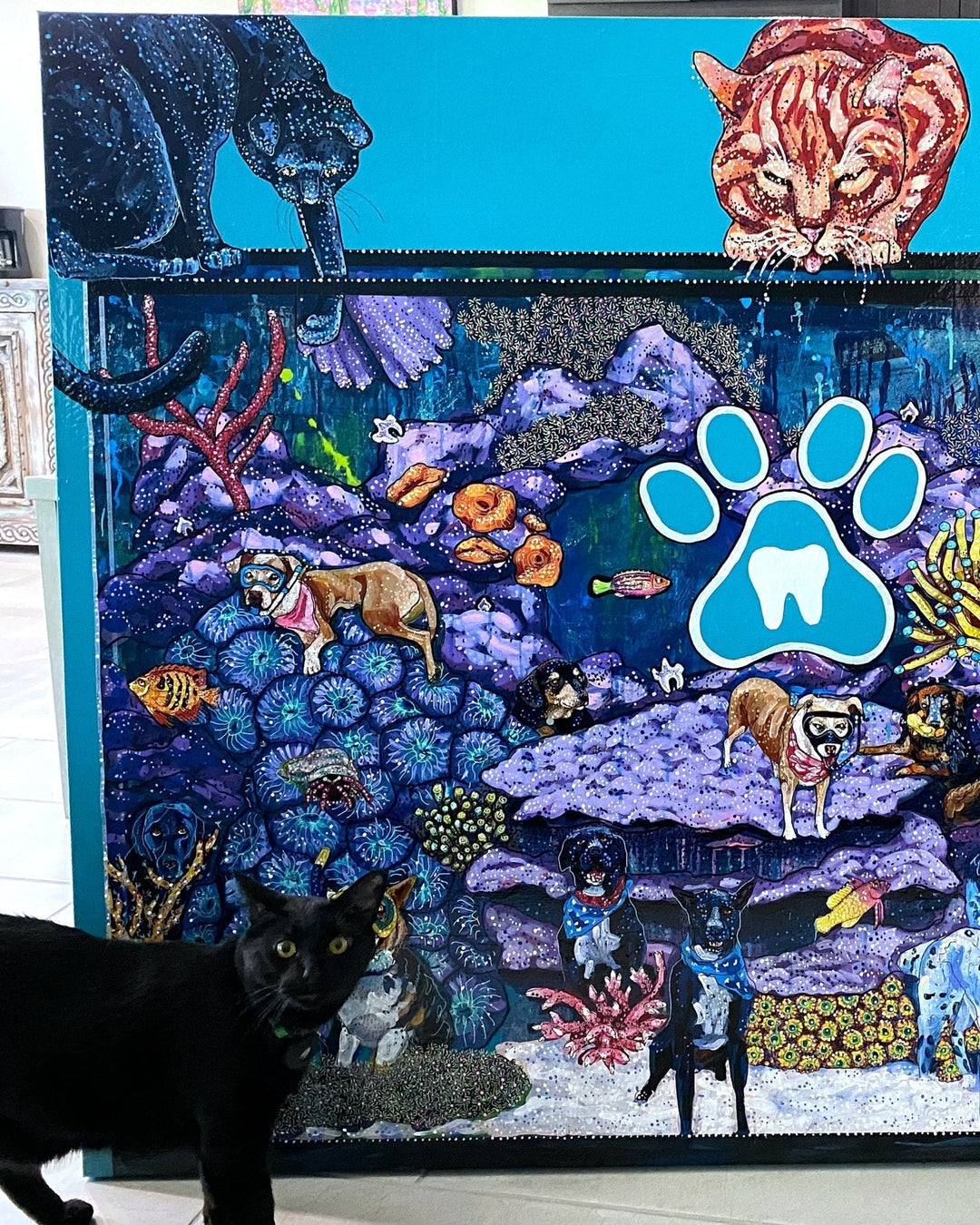 Pet Dental USA - Heather Freitas 