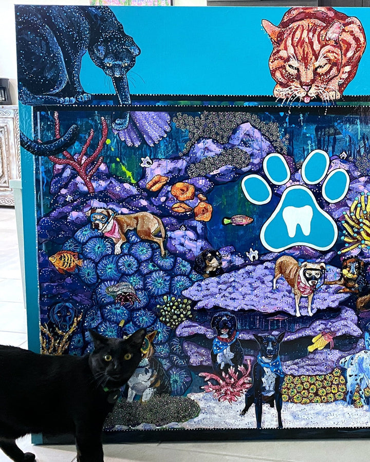Pet Dental USA - Heather Freitas 