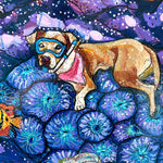 Pet Dental USA - Heather Freitas 
