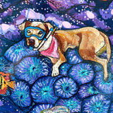 Pet Dental USA - Heather Freitas 