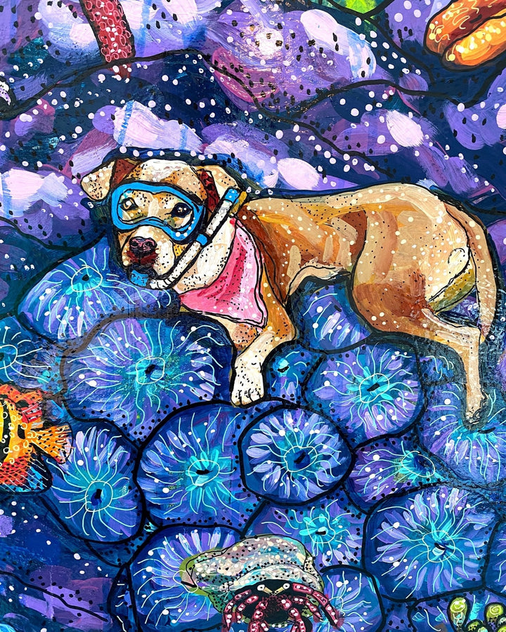 Pet Dental USA - Heather Freitas 