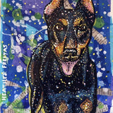Pet Portrait 5 Heather Freitas 