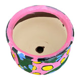 Pink Cocoon Monarch Butterfly Planter - Heather Freitas 