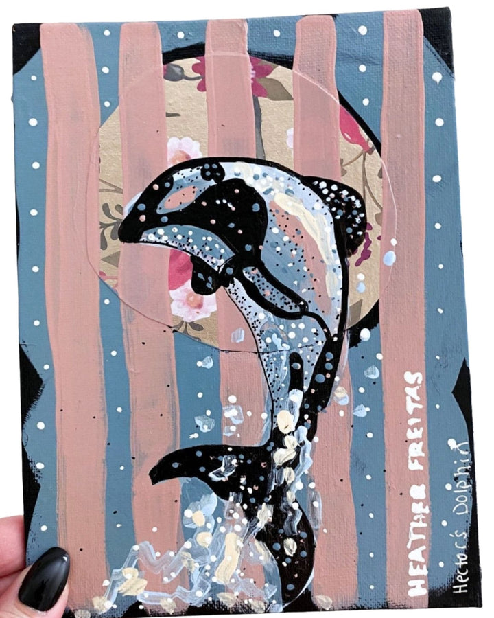 Porpoise Study - Heather Freitas 