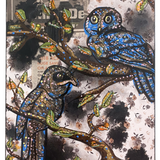Prigogine's Nightjar - Heather Freitas 