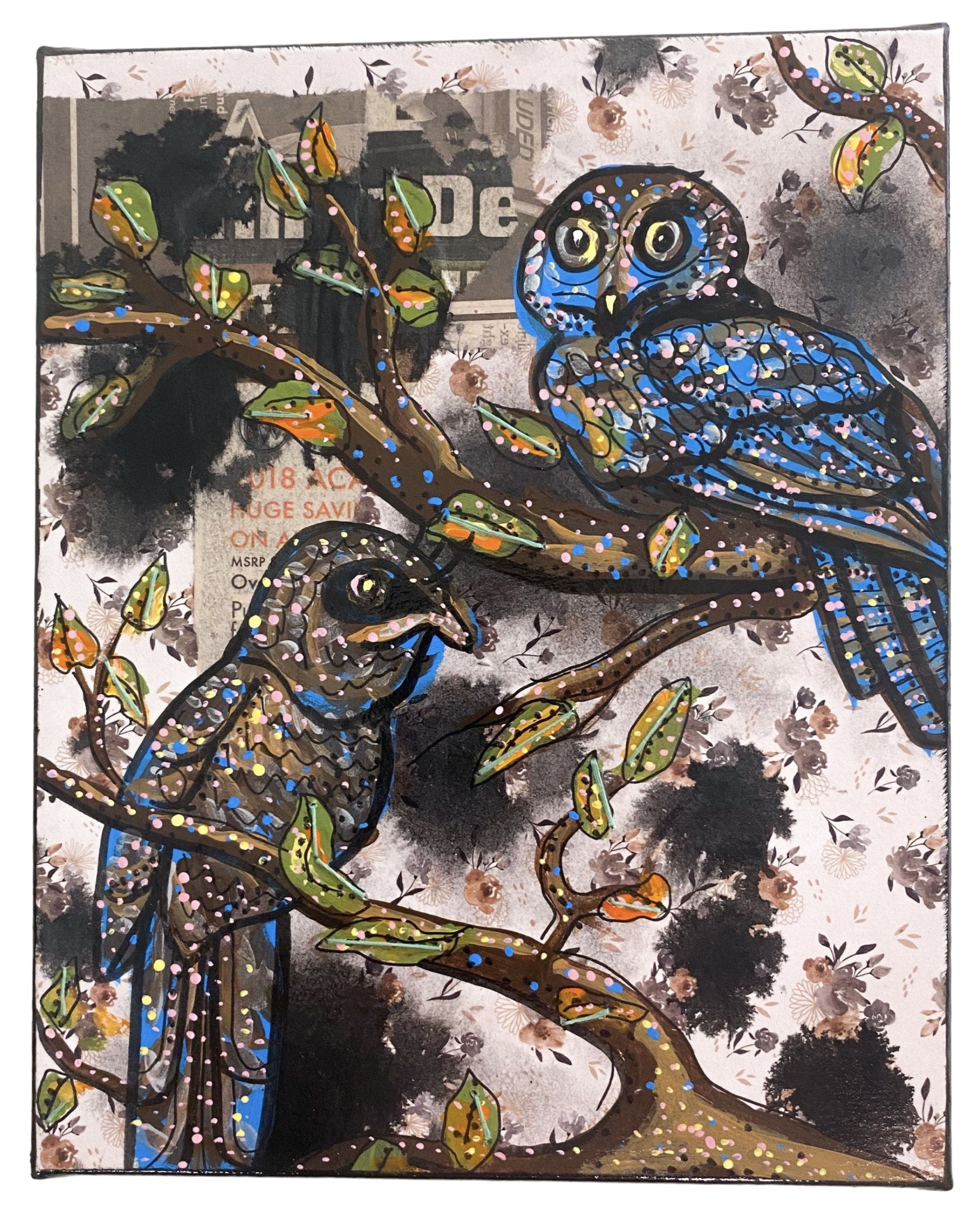Prigogine's Nightjar - Heather Freitas 