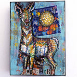 Pronghorn Heather Freitas 