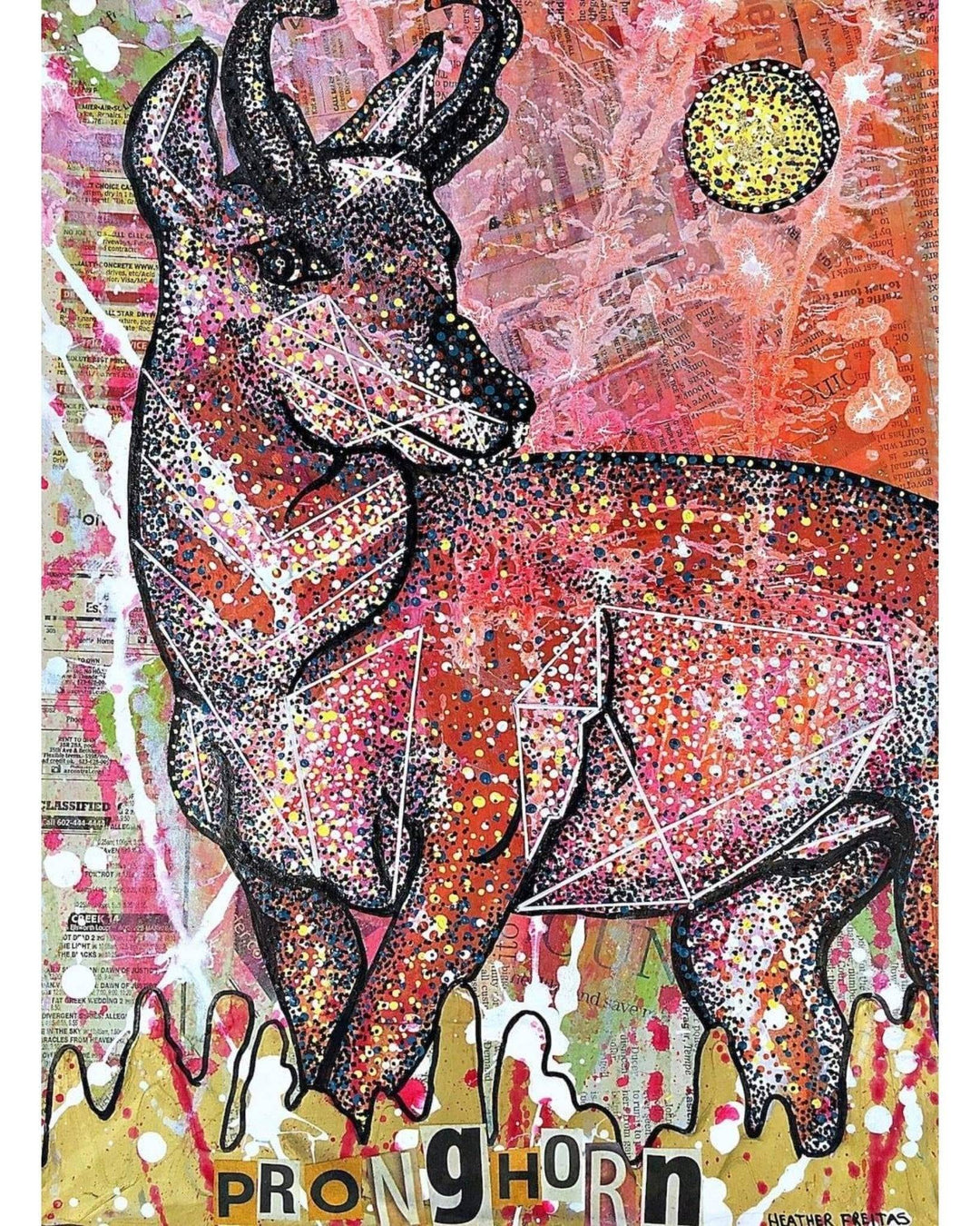 Pronghorn - Heather Freitas 