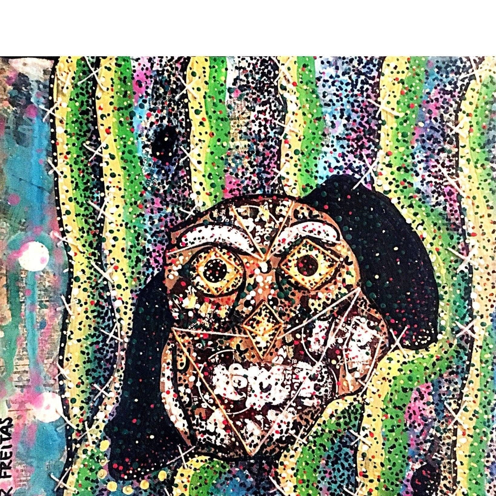Pygmy Owl II - Heather Freitas 