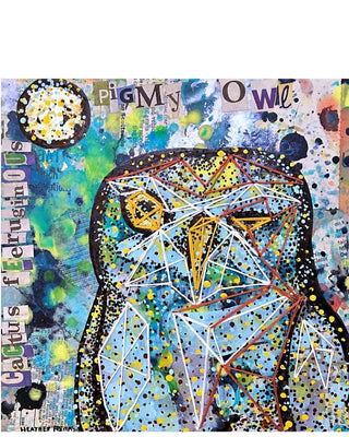 Pygmy Owl - Heather Freitas 