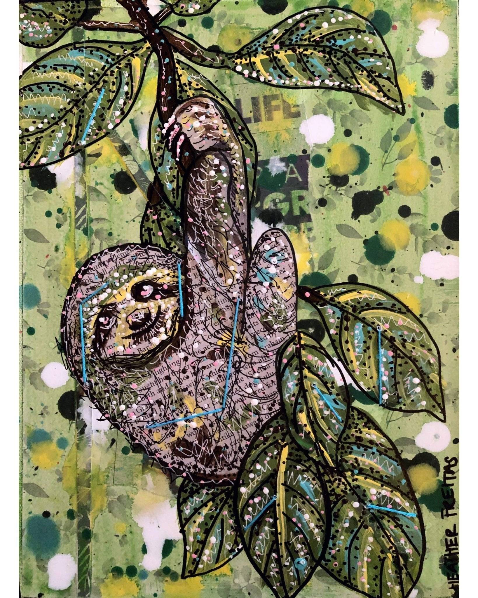 Pygmy Three-toed Sloth - Heather Freitas 