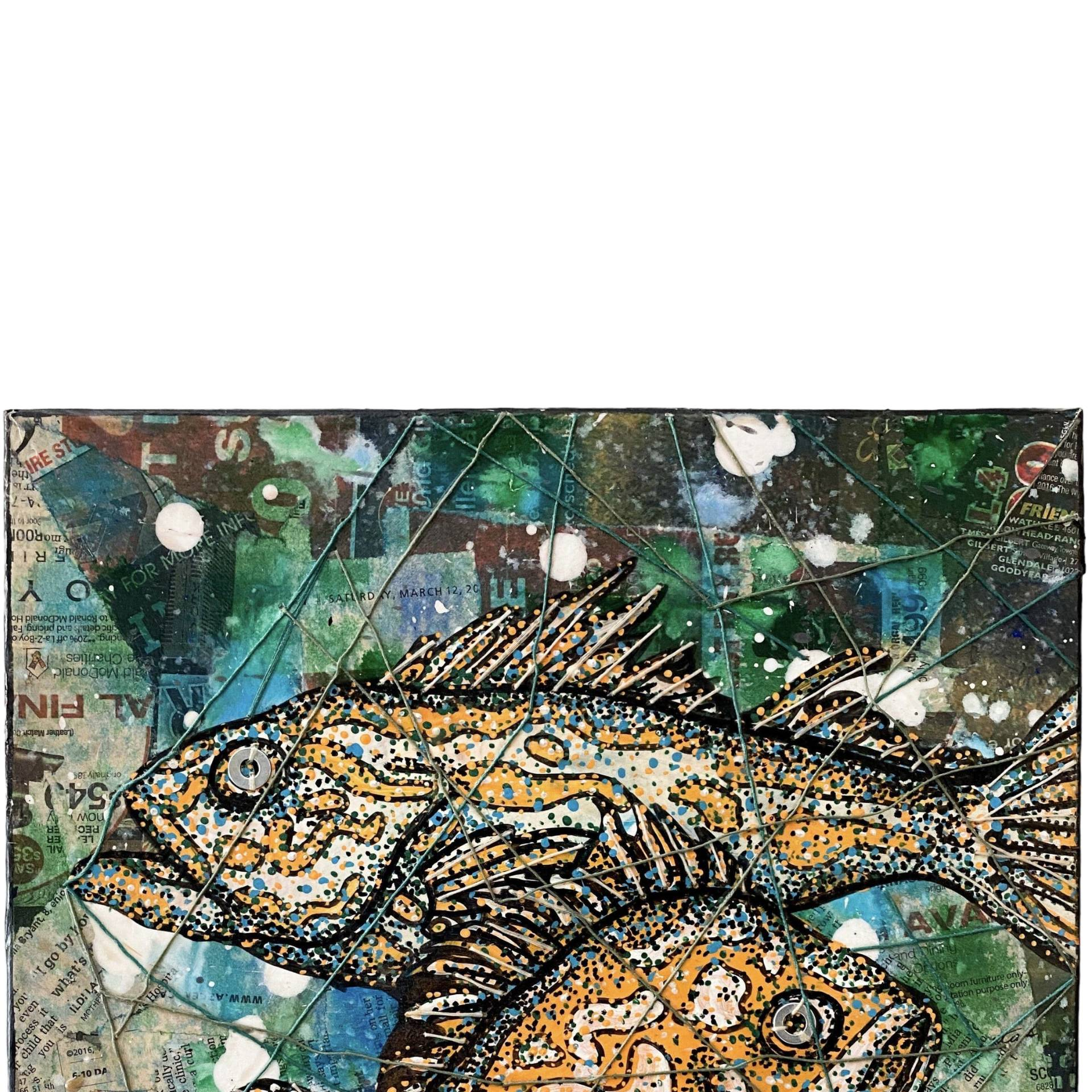 Rockfish - original painting - Heather Freitas 