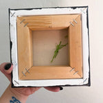 Saint Vitus - Heather Freitas - fine art home deccor