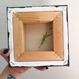 Saint Vitus - Heather Freitas - fine art home deccor