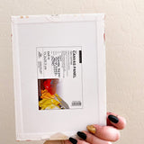 Sean - Heather Freitas - fine art home deccor