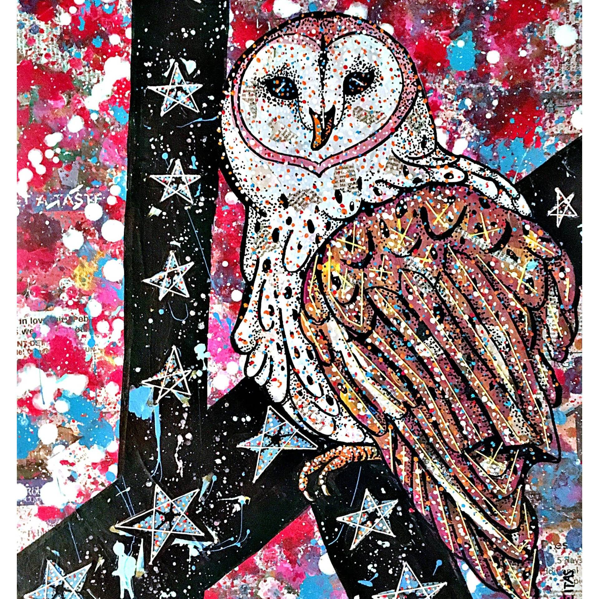 Snowy Owl - Heather Freitas - fine art home deccor