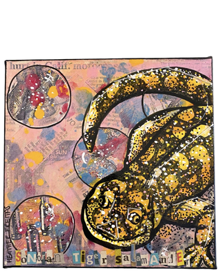 Sonoran Tiger Salamander ( Was on view at Roswell Museum Of Art ) - Heather Freitas - fine art home deccor