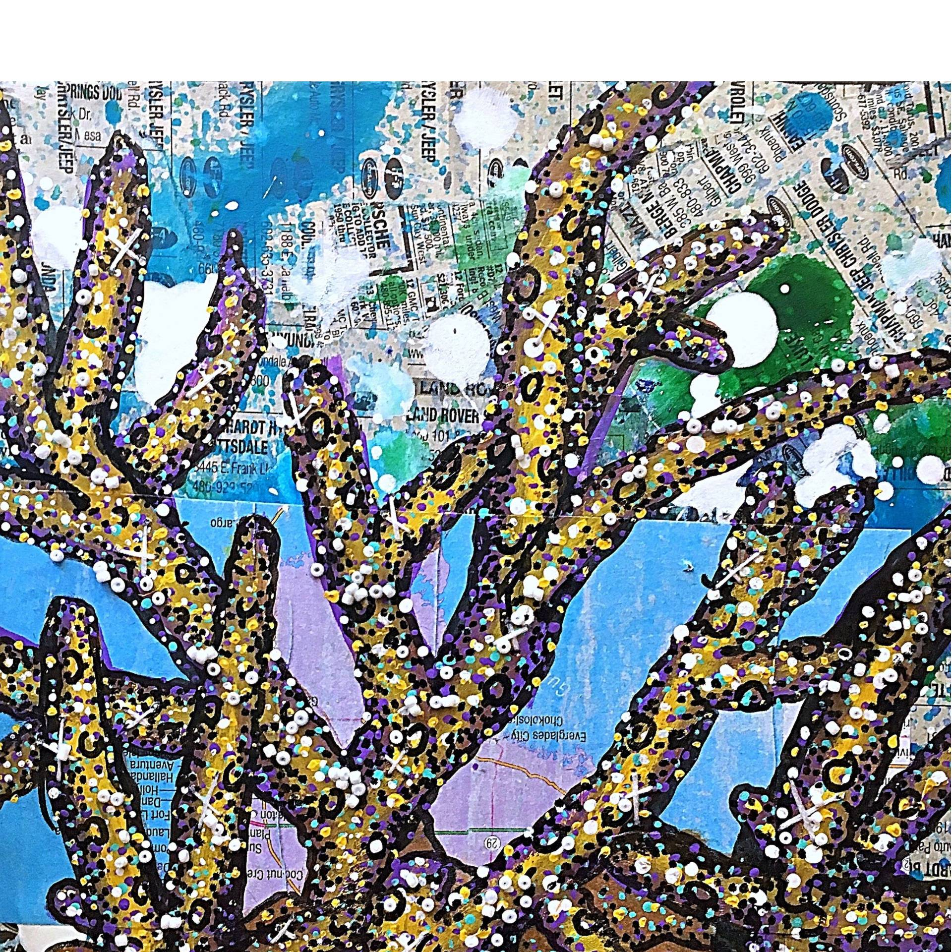 Staghorn Coral - Heather Freitas 