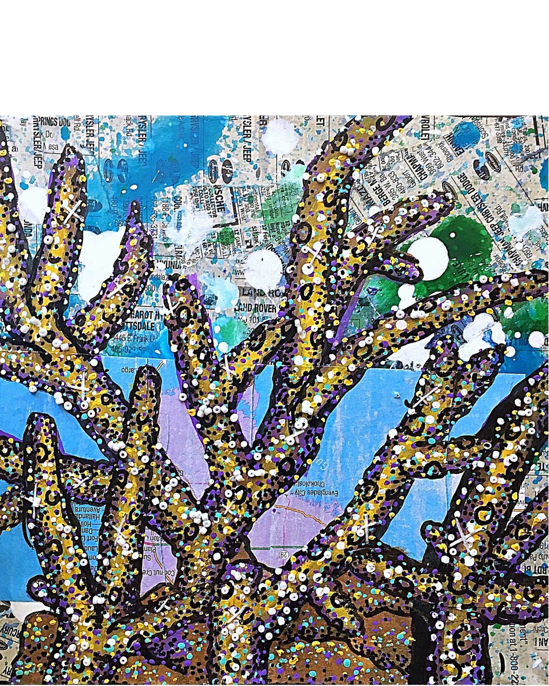 Staghorn Coral - Heather Freitas 