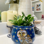 Starry Owl Planter - Heather Freitas 