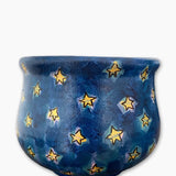Starry Owl Planter - Heather Freitas 