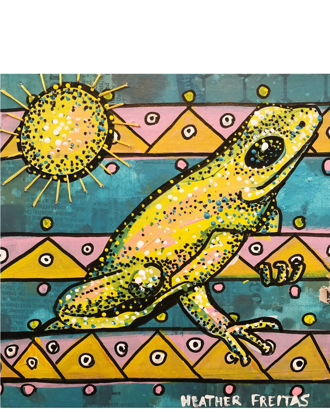 The Frogs Sun - Heather Freitas 