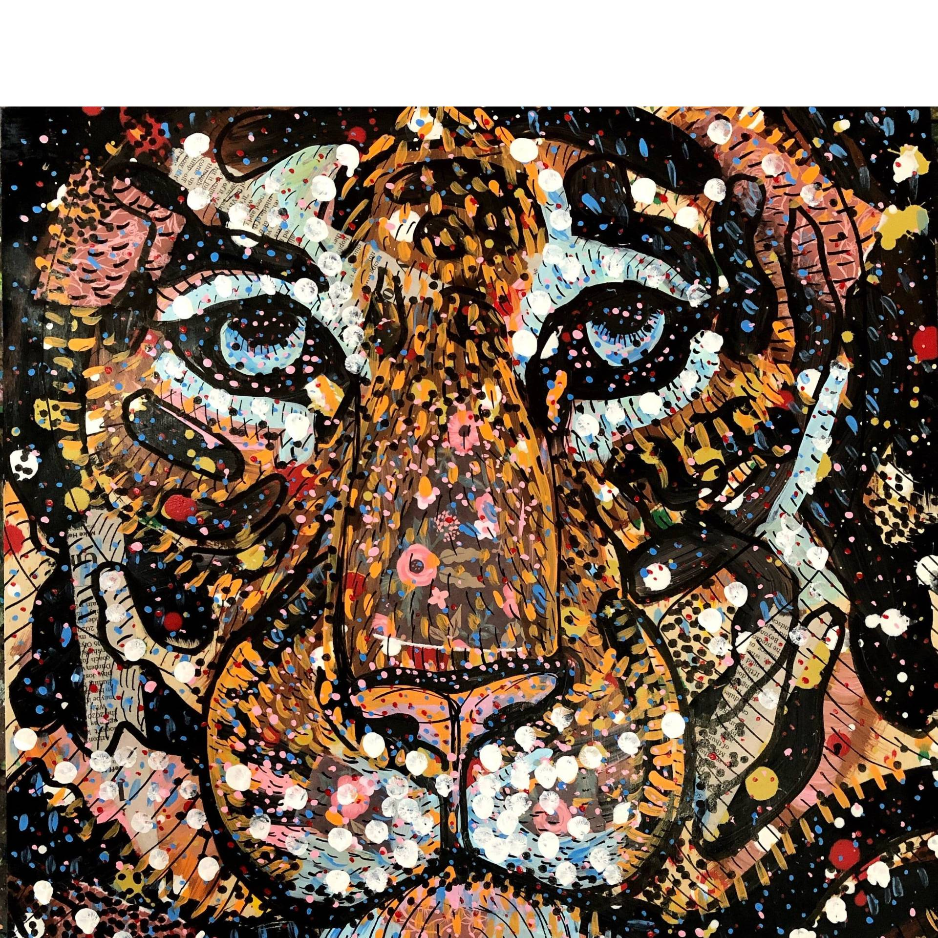 Tiger Lily - Heather Freitas 