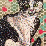 Tuxedo Heather Freitas 