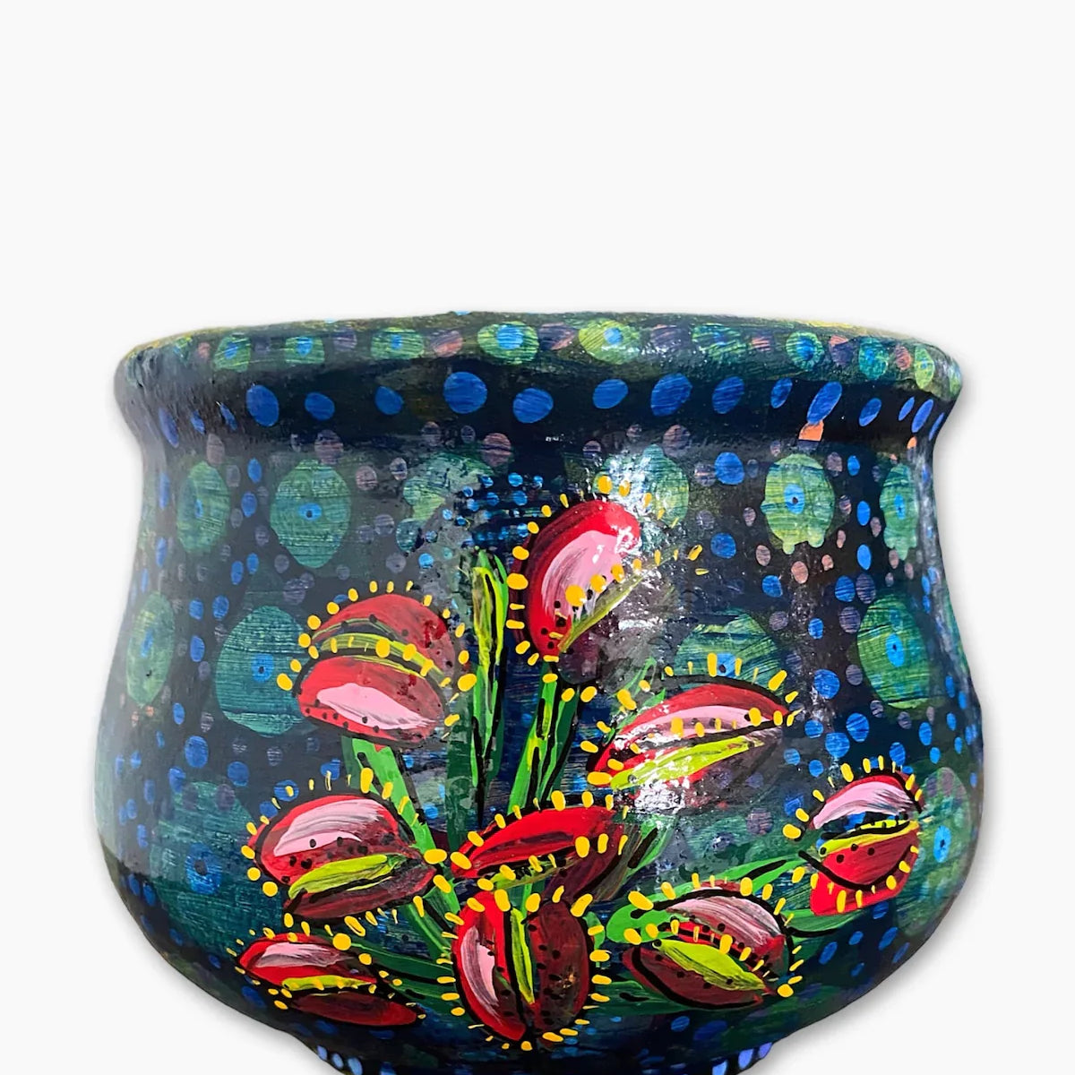 Venus Fly Trap Planter - Heather Freitas 