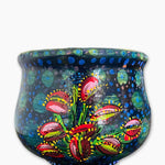 Venus Fly Trap Planter - Heather Freitas 