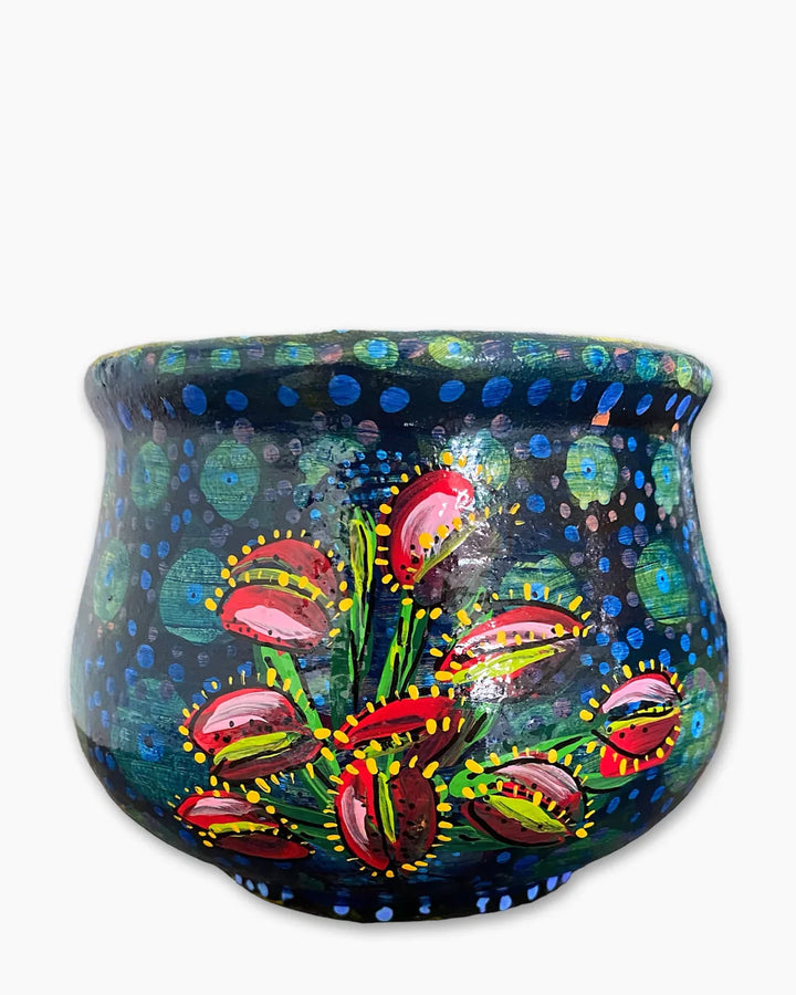 Venus Fly Trap Planter - Heather Freitas 